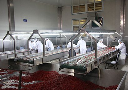 CHAOTIAN CHILI PRODUCTION LINE